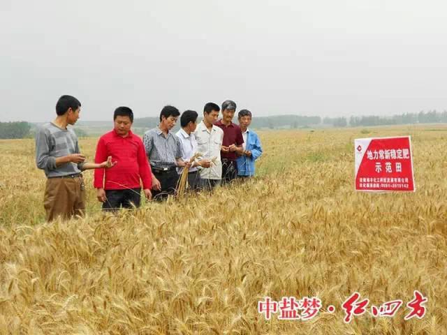 紅四方穩(wěn)定肥料，為農民增收，讓經銷商獲利
