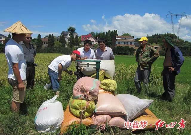 紅四方穩(wěn)定肥料，為農民增收，讓經銷商獲利