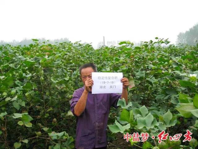 紅四方穩(wěn)定肥料，為農民增收，讓經銷商獲利