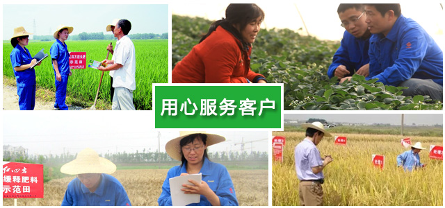 紅四方復合肥廠家農(nóng)化團隊用心服務每一位農(nóng)民 紅四方復合肥廠家農(nóng)化團隊用心服務每一位農(nóng)民
