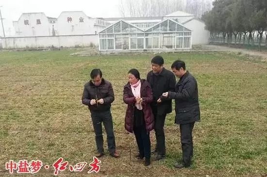 三變身份，不變初心的紅四方復合肥老業務員