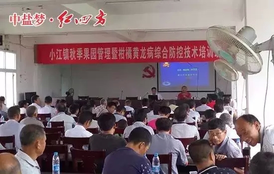 專家一上臺(tái)，就果樹土壤追肥、病蟲害防治、整形修剪、疏花疏果等問題