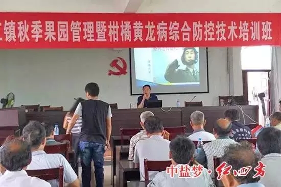 紅四方江西中心經(jīng)理羅玉國(guó)為果農(nóng)們揭開了柑橘高產(chǎn)的秘訣