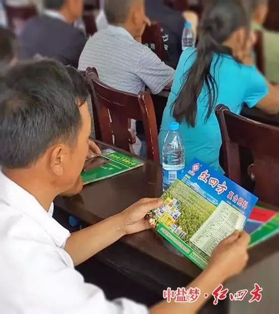 研究起紅四方復(fù)合肥產(chǎn)品單頁(yè)