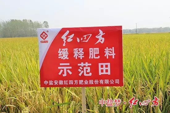 農業部全國農技推廣中心與紅四方聯手打造的示范試驗田便設置在此。