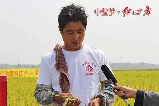 孟祥保告訴我們，3年前他開始大面積承包農田，在肥料的選擇上，他慎之又慎，通過考察最終鎖定了紅四方肥料