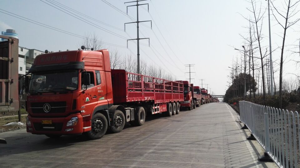 中鹽紅四方復(fù)合肥廠家門口排起車隊長龍，等待運輸復(fù)合肥料。