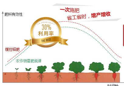 緩釋肥料在養(yǎng)分釋放過程