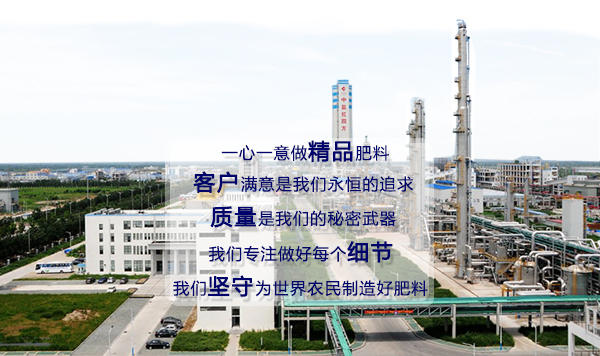 中鹽紅四方美福復合肥品牌生產區