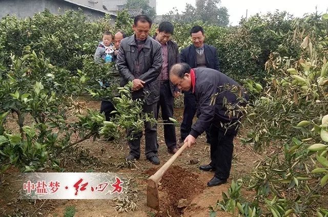 長期過量施用化肥，會致使土壤質量低下，現階段按需施用化肥是一方面，合理利用有機資源，用有機肥替代部分化肥，實現有機無機相結合，用耕地內在養分替代外來化肥養分投入。