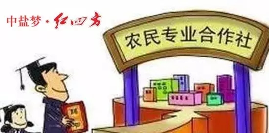 2016年，國家推出多個政策支持新型農業經營主體發展，推動農村一二三產業融合發展。那么，2017年，國家對合作社又有哪些補貼政策呢？