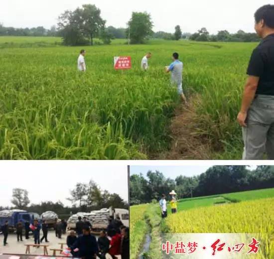 每當(dāng)我們走在田間地頭，看到一些農(nóng)民用電動(dòng)車或其他車子馱著紅四方肥料奔向田間施肥