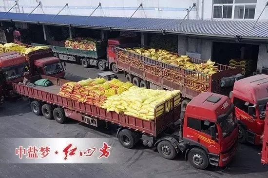 2月29日，全國各地復合肥銷售活動進行的如火如荼，中鹽紅四方搶占市場制高點，各地銷售中心捷報頻傳，銷量不斷攀升，復合肥發貨量同期增長20%，創歷史新高，迎來2016年農化銷售“開門紅”。