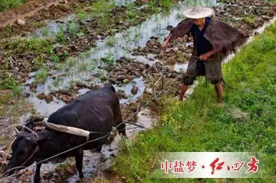一些長期研究該問題的農學家認為，過去數千年的現實告訴我們，這一思路可能是錯誤的，那些純天然耕作的土地并沒有表現出“肥力十足”。相反，這種做法加速了土壤肥力的減退。